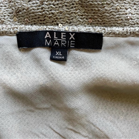ALEX MARIE Top Long Sleeve Lined Knit Top with Sequins Taupe Size XL - Picture 6 of 6